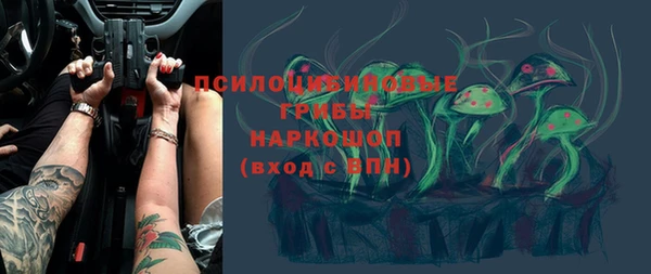 a pvp Пересвет