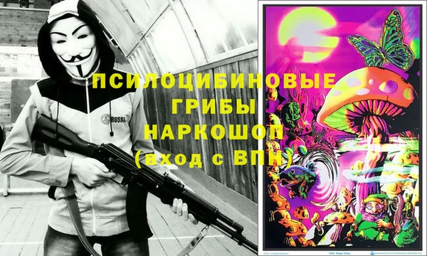индика Переславль-Залесский