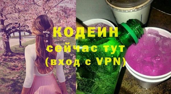 a pvp Пересвет