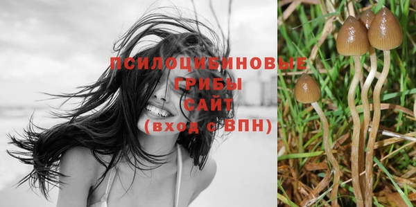 гидропоника Пестово