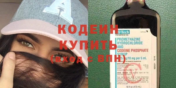 индика Переславль-Залесский