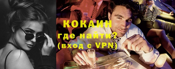 индика Переславль-Залесский