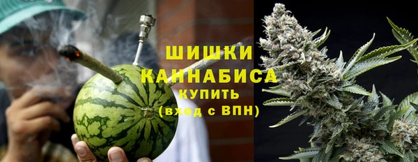 индика Переславль-Залесский
