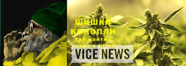индика Переславль-Залесский