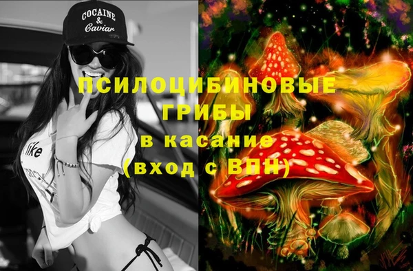 a pvp Пересвет