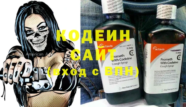 индика Переславль-Залесский